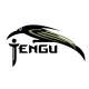 Палатки Tengu в Красноярске Палатки Tengu в Красноярске